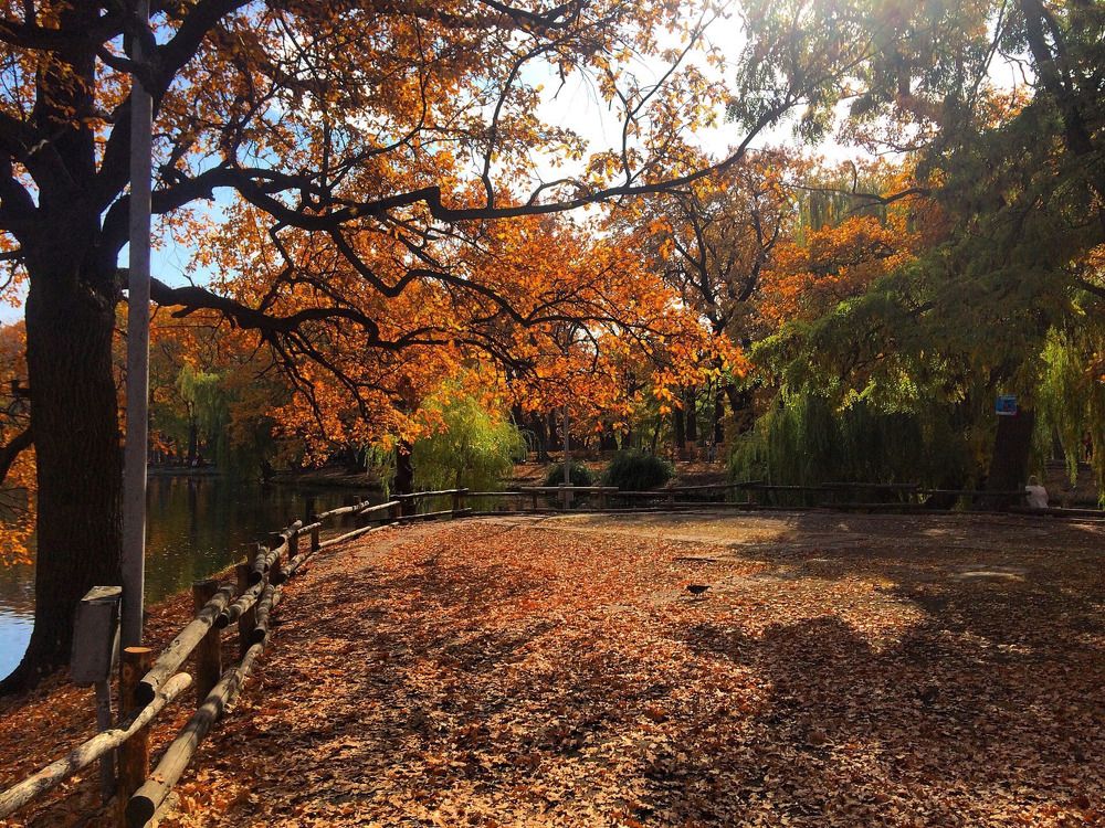 Photograph by Елена Кулакова