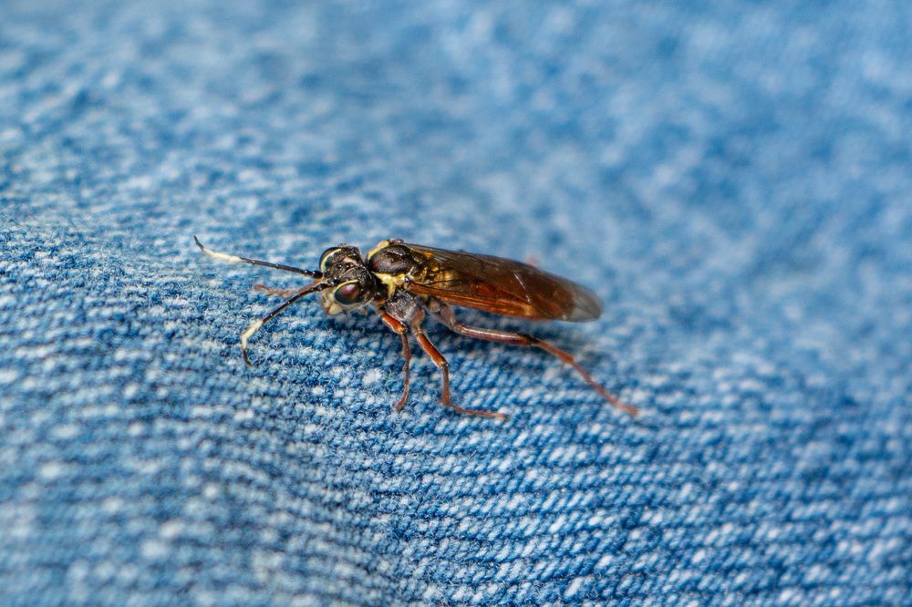 Photograph by Виталий