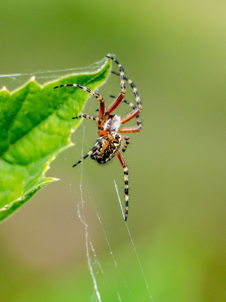 Photograph by Виталий