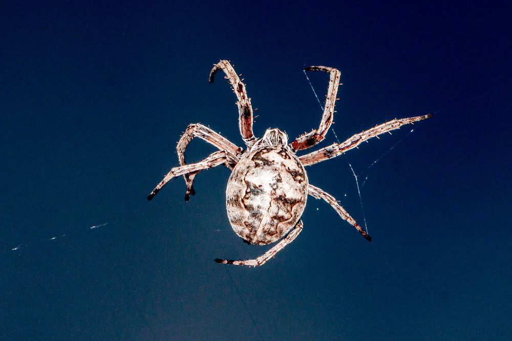 Photograph by Виталий