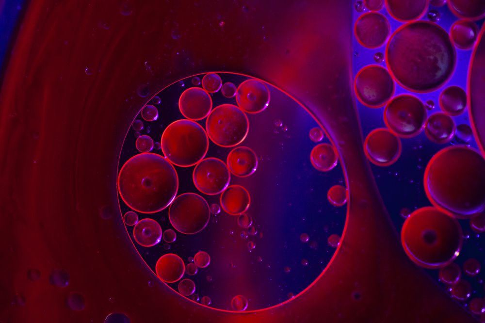 Photograph by Mirjana Spajić Buturac