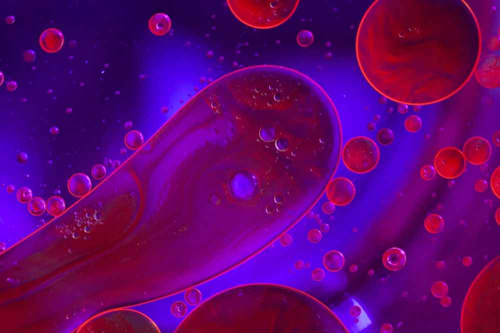 Photograph by Mirjana Spajić Buturac