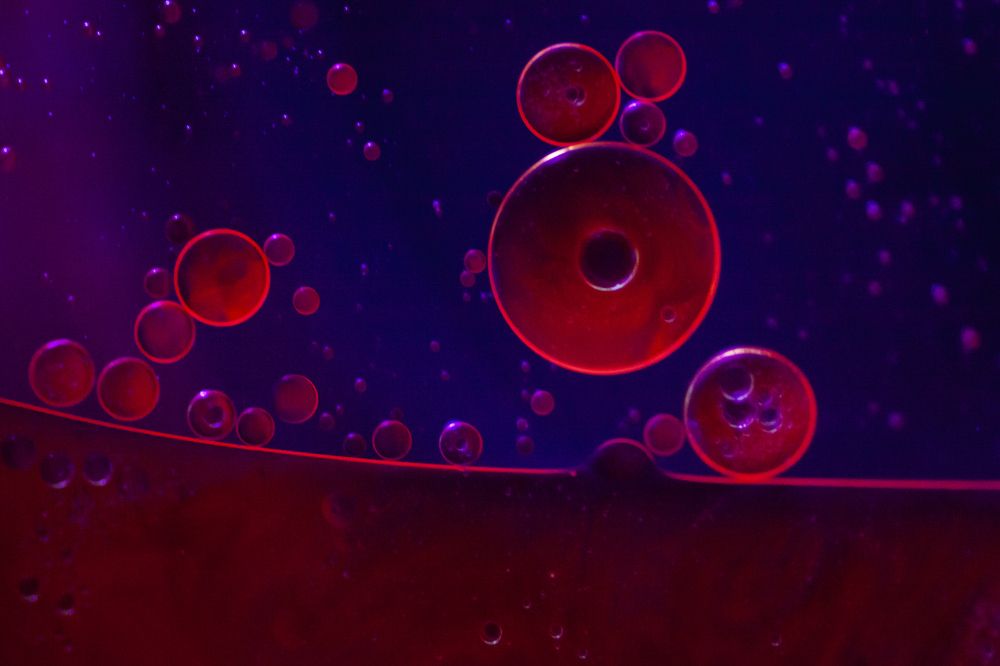 Photograph by Mirjana Spajić Buturac