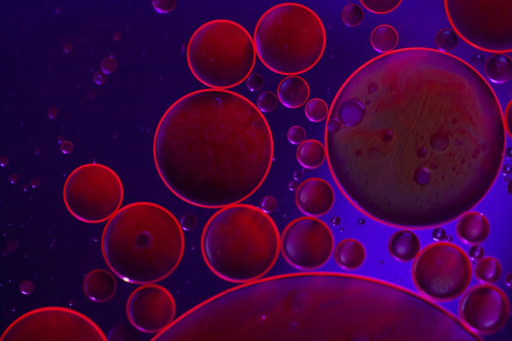 Photograph by Mirjana Spajić Buturac