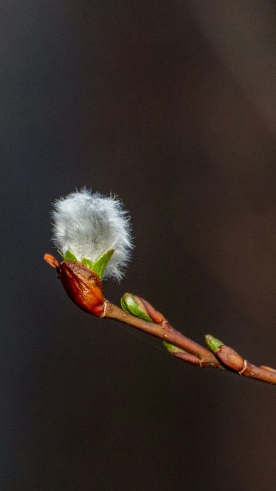 Photograph by Виталий