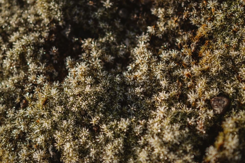 Photograph by Наталья Могилевская