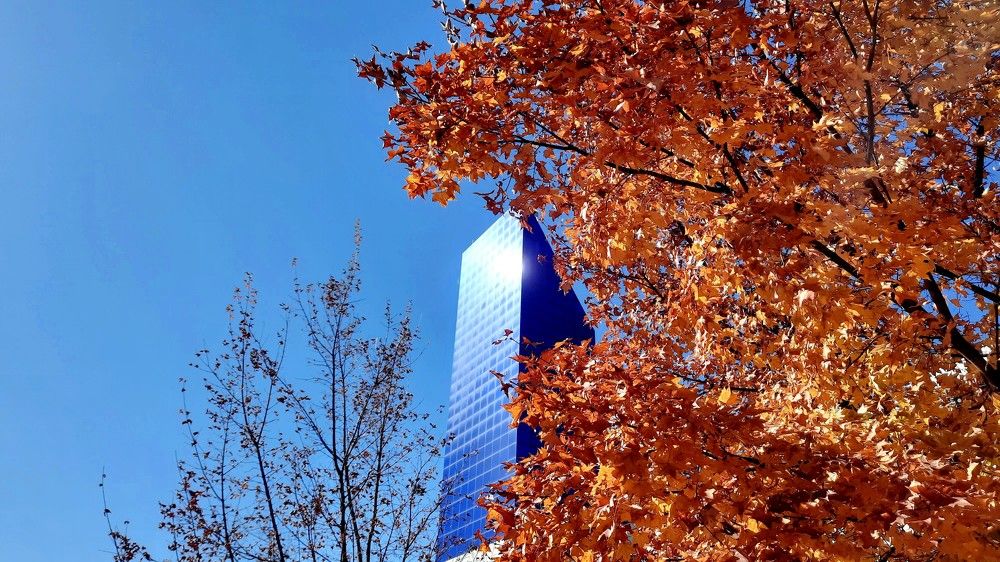 Photograph by Оксана Макрушина