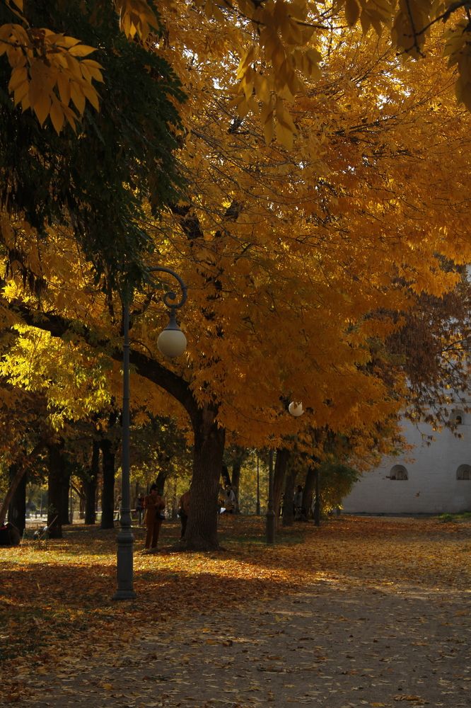 Photograph by Дмитрий Худоерко