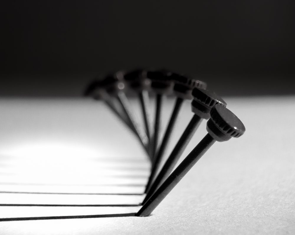 Photograph by Раиса Ламли