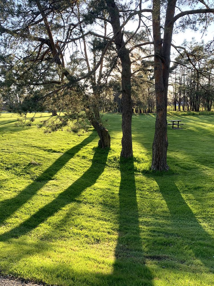 Photograph by Liliana Grup