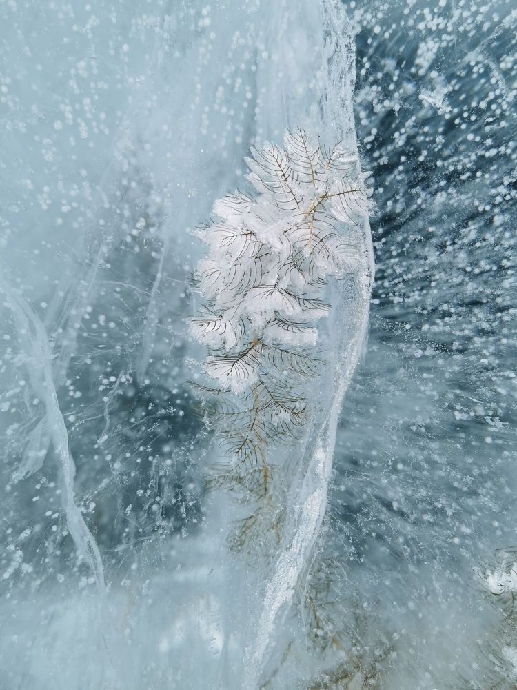 Photograph by Natalia Perova