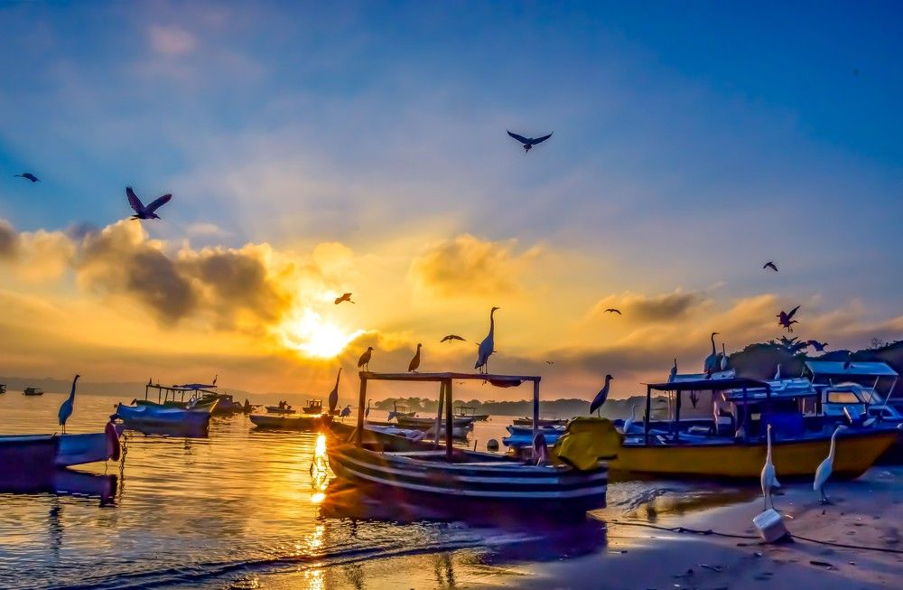 Photograph by Andre Nunes