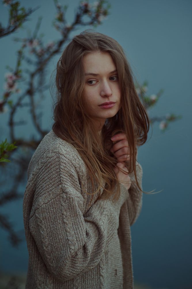 Цветущие ветки миндаля (Almond Blossom)