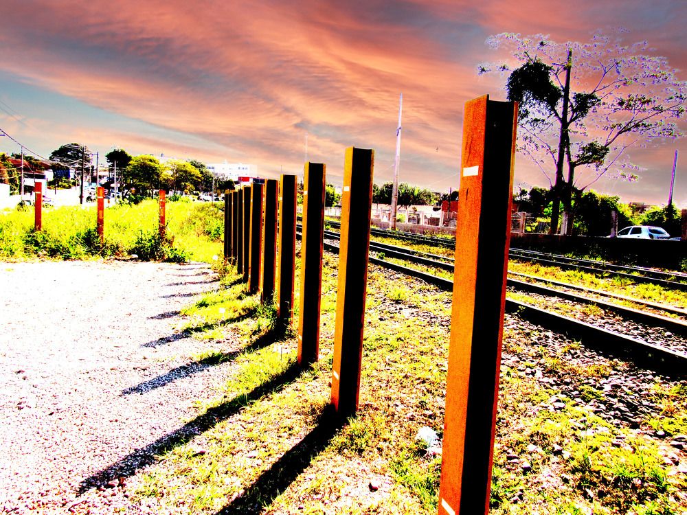 Photograph by Wan Moraez