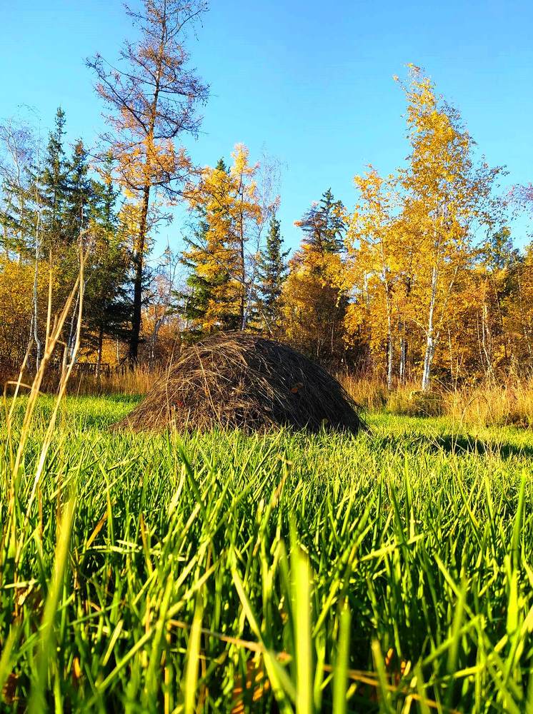 Photograph by Надежда Иванова