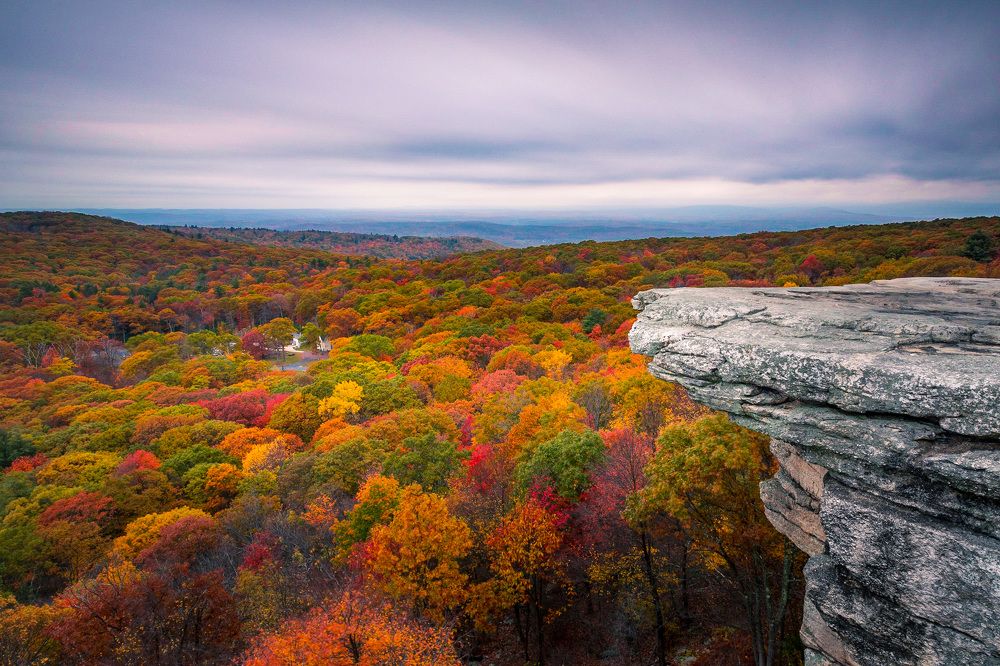 Photograph by Robert Welsted