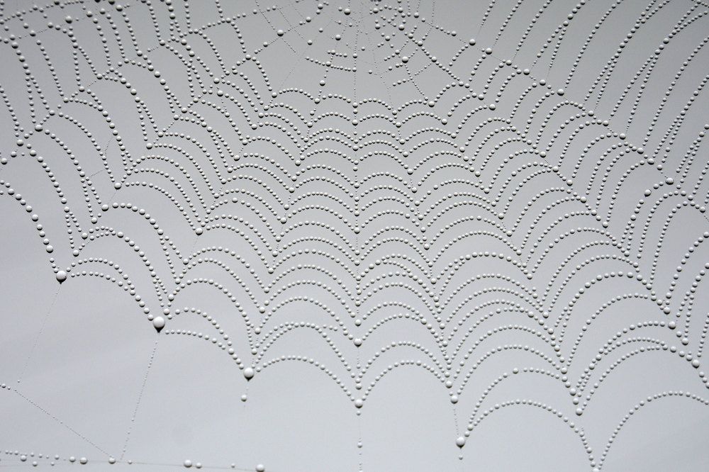 Photograph by Анна Берденникова