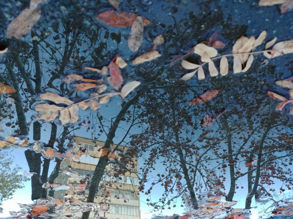 Photograph by Константин Степанов