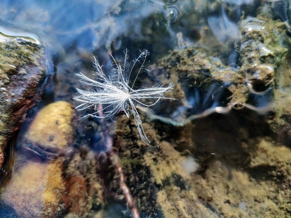 Photograph by Ирина Саттарова