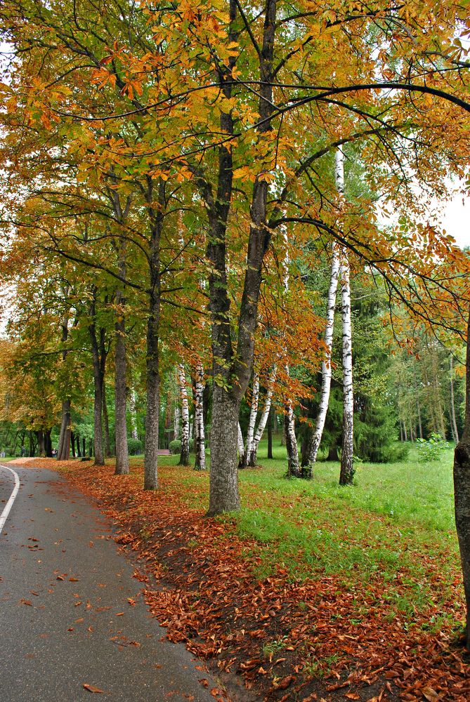 Photograph by Наталия Захарова