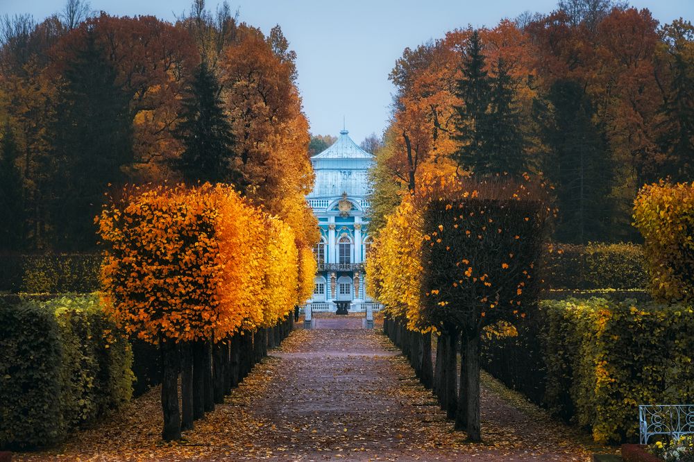 Фотография автора Майя Афзаал