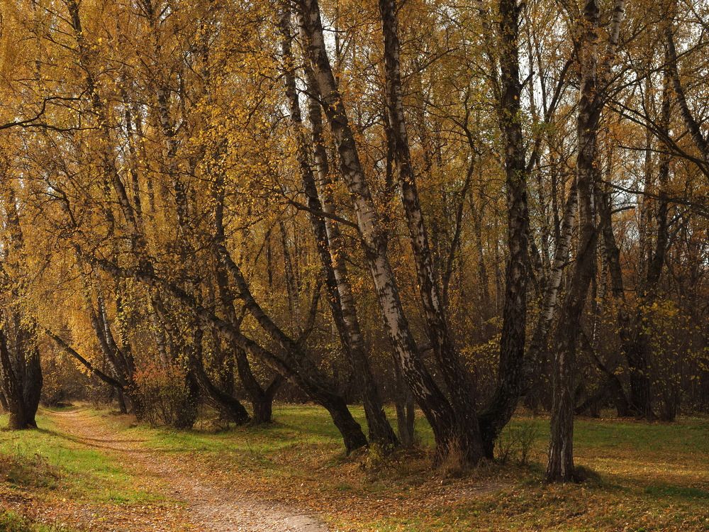 Photograph by Виктор Комиссаров