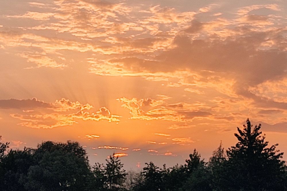 Photograph by Фаина Мирошниченко