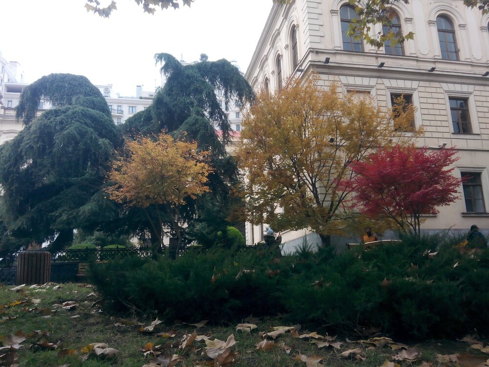 Фотография автора Gulchatay Djumshudova