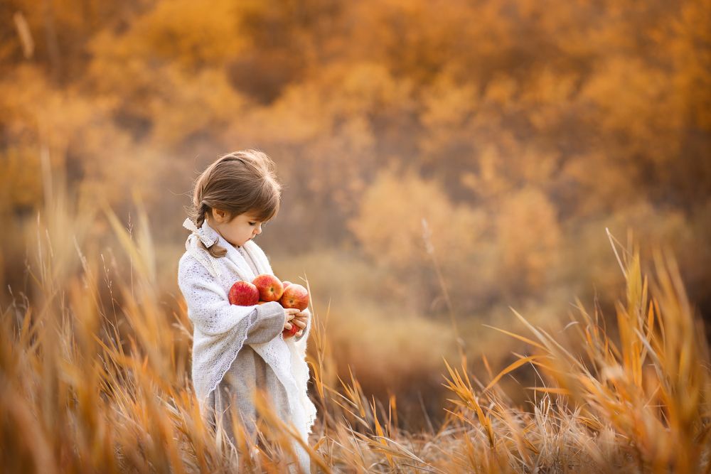 Photograph by Viktoriia Polishcuk