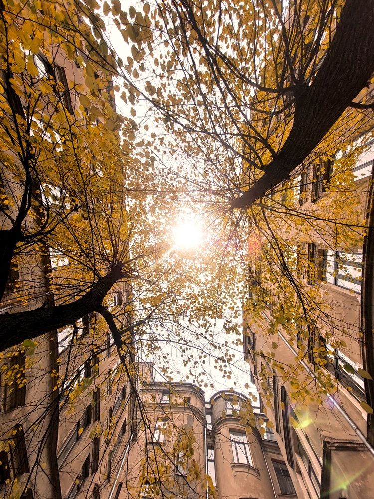 Photograph by Jelena Dzene