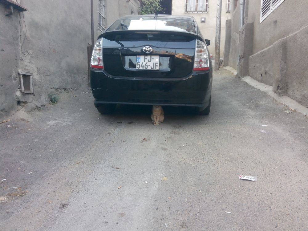 Фотография автора Gulchatay Djumshudova