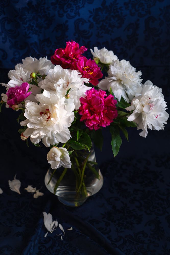 Photograph by Юлия Рябчук