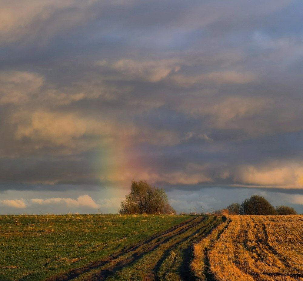 Photograph by Олика