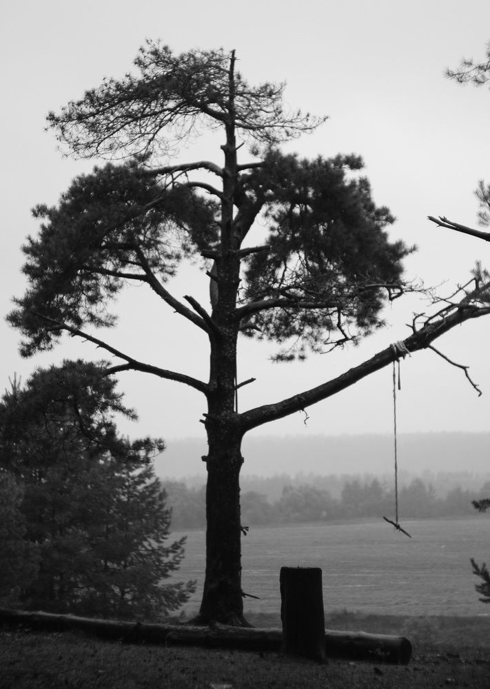 Photograph by Олеся Бакалина