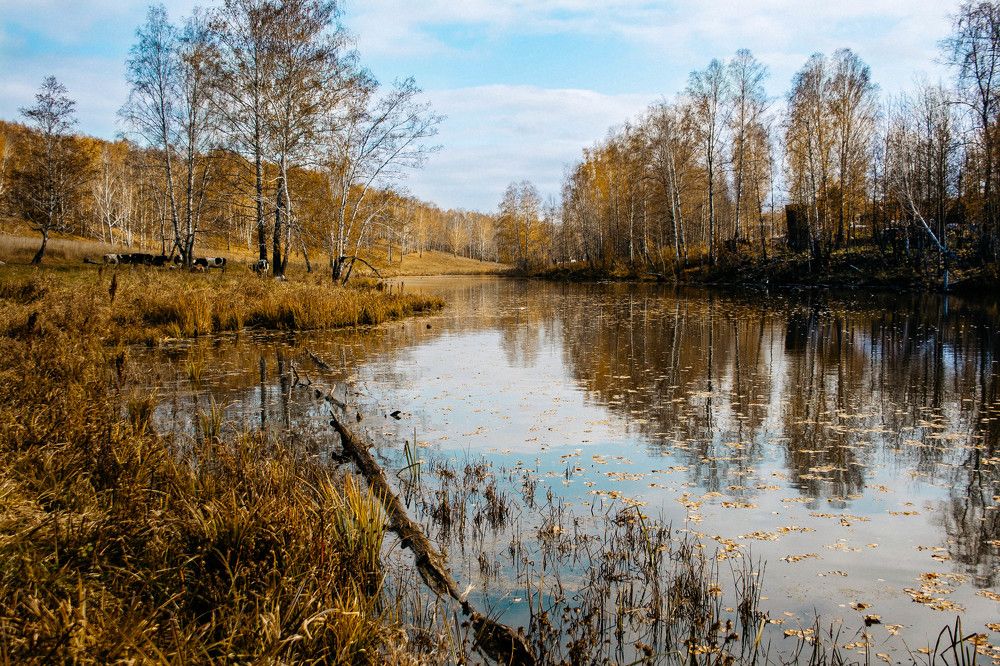 Photograph by Yulia Yuzhakova