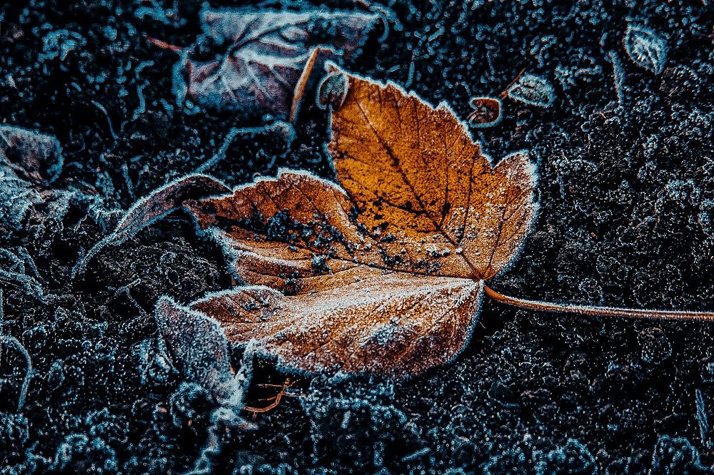 КУСОЧЕК ОСЕНИ