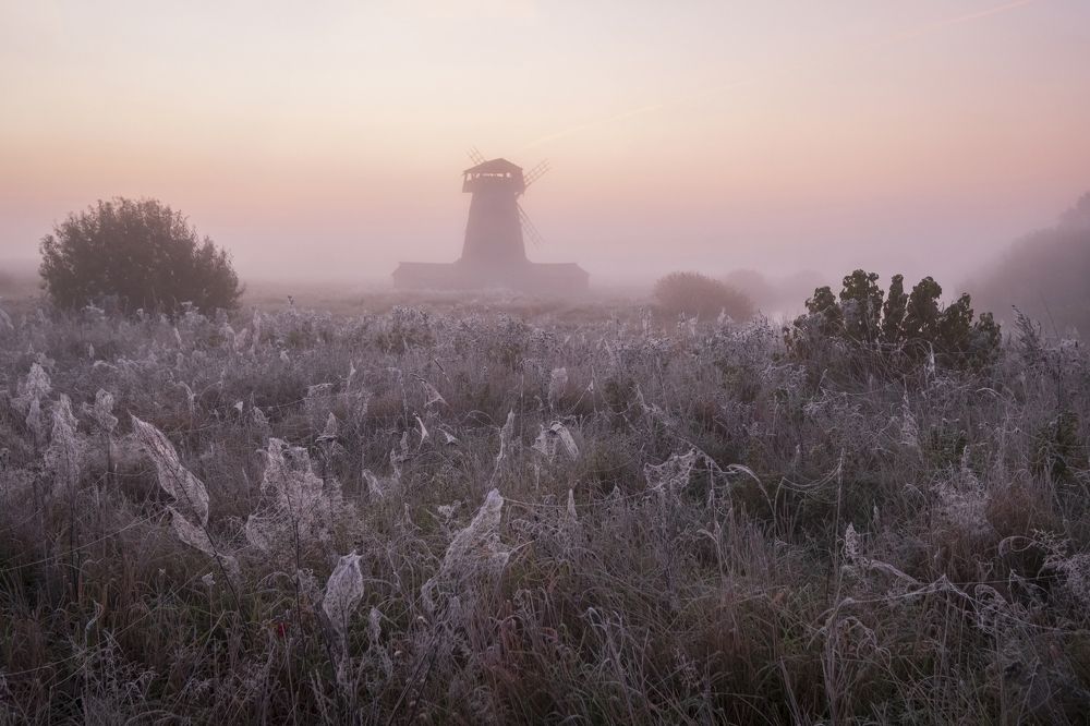 Photograph by Светлана Краюшкина