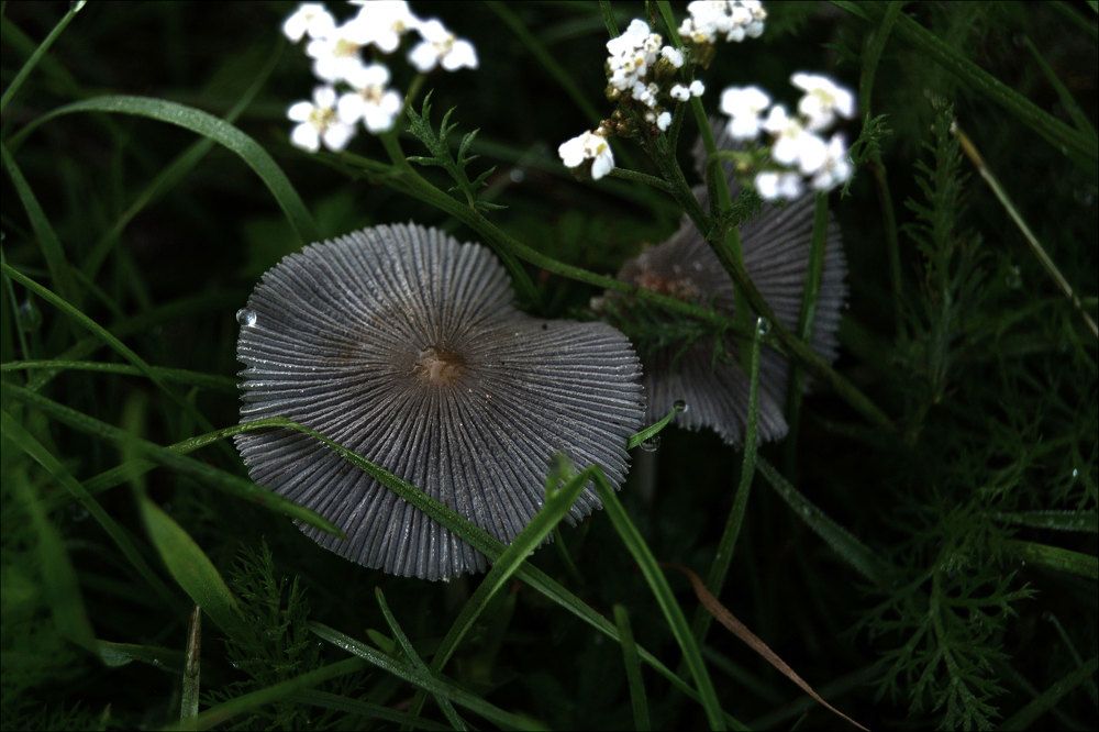Photograph by Анна Берденникова