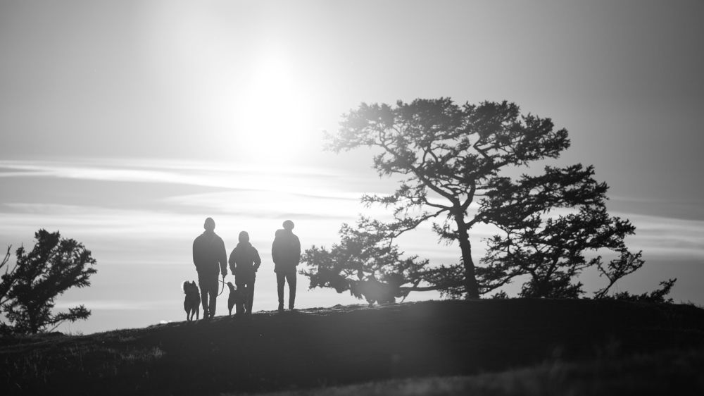 Photograph by Андрей Данчишин