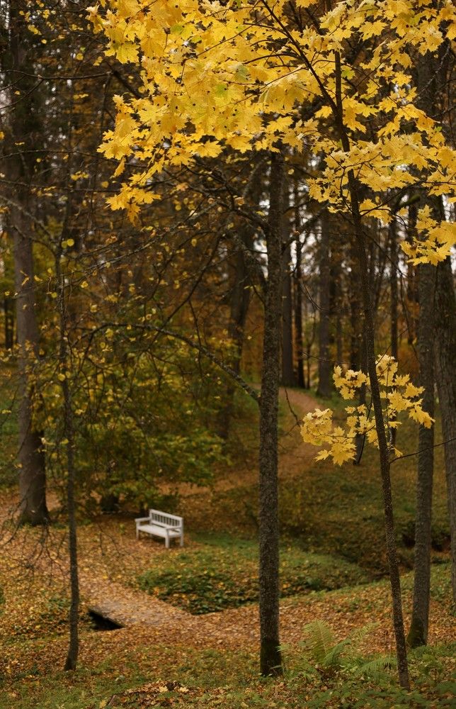 Photograph by Ася Радченко