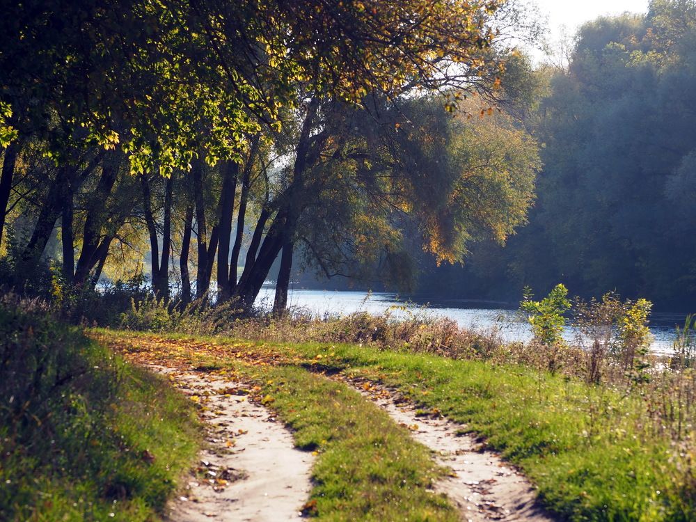 Photograph by Бабаев Андрей