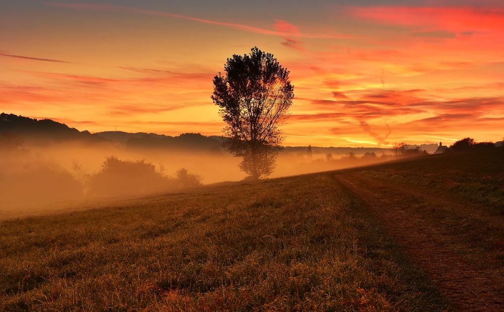 Photograph by Elena Wymann