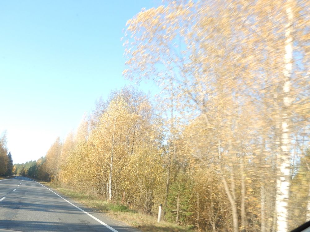 Дыхание осени