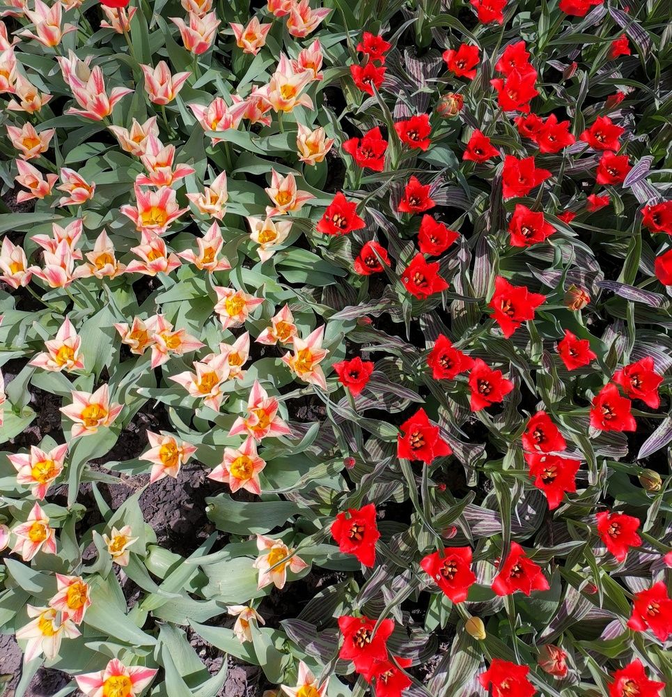 Photograph by Сергей Коняшин