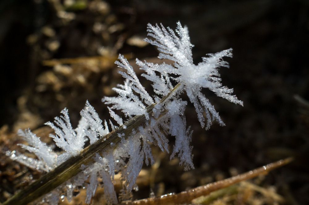 Photograph by Евгения Антропова