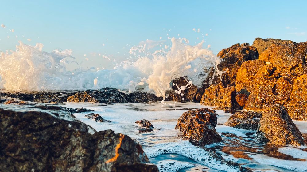 Photograph by Alena Poklonskaia