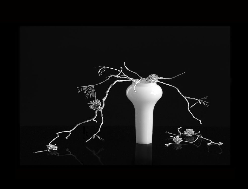 Photograph by Ольга Заболотская