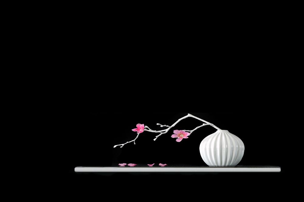 Photograph by Ольга Заболотская