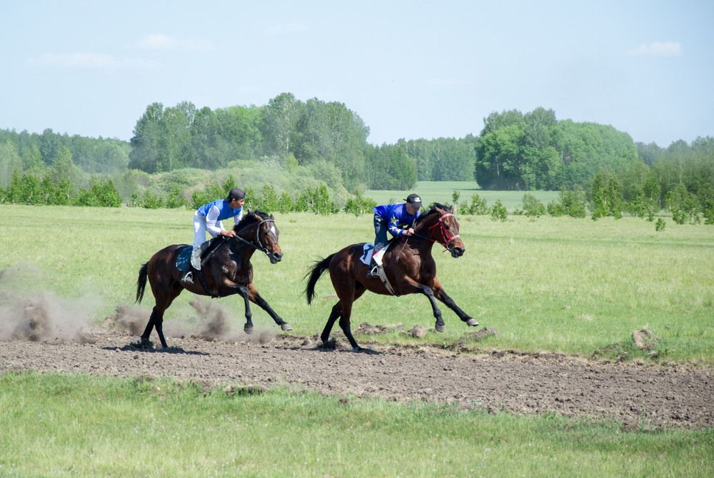 Photograph by Евгения Антропова