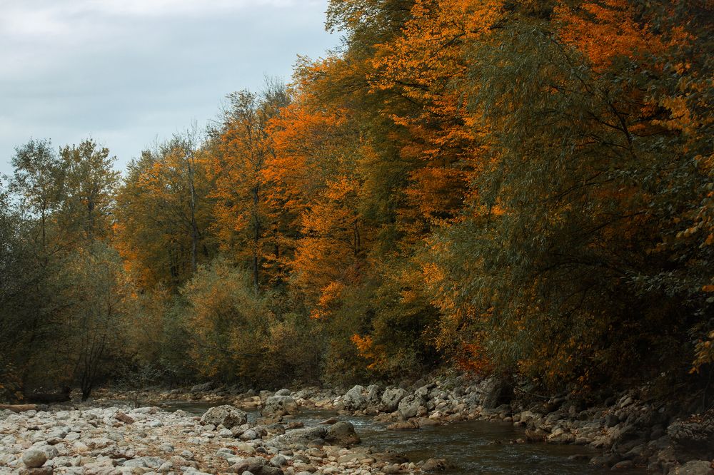 Photograph by Екатерина Щербакова